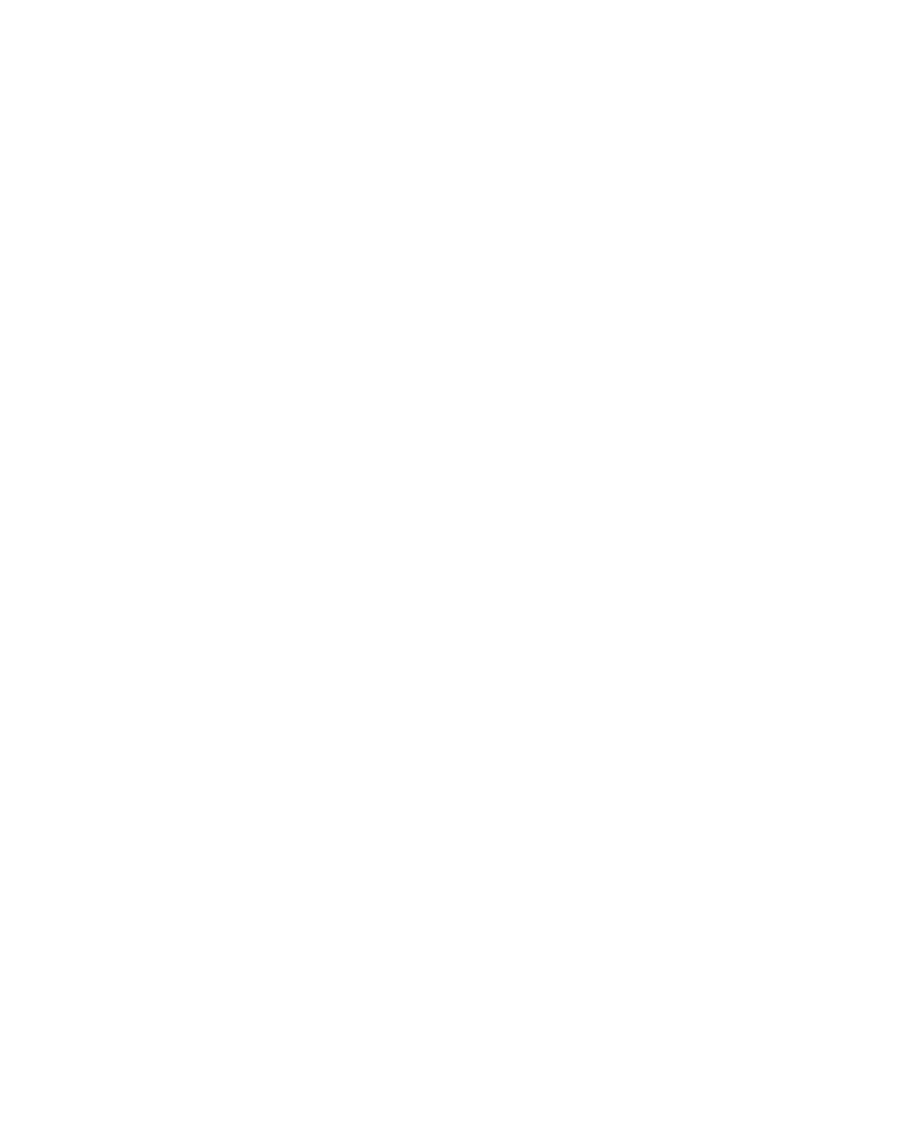 logobainco-BlueDesignSummit